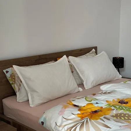 Lägenhet Victoria Timişoara